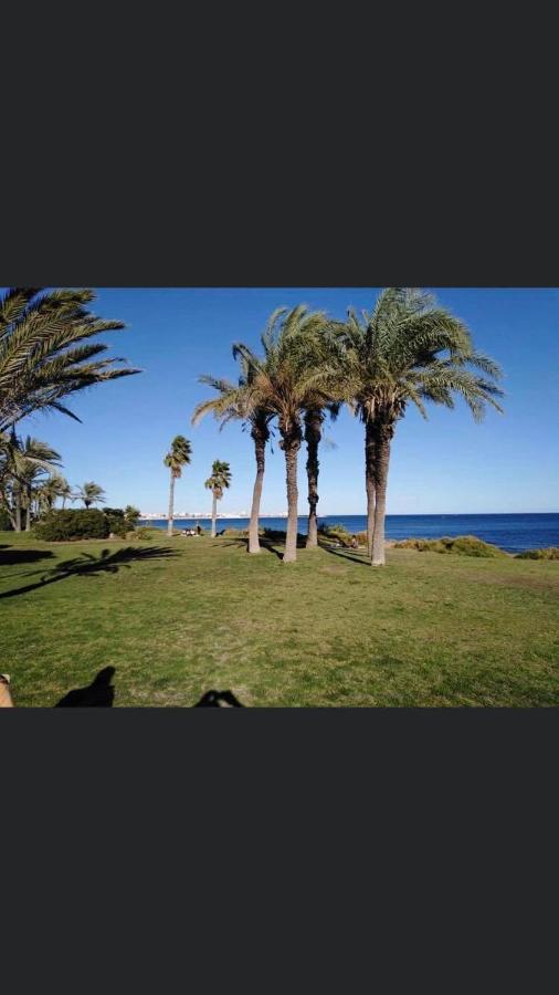 Apartament W Torrevieja, Mar Azul エクステリア 写真